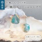 牡蠣の街 牡蠣殻カラージェルピアス