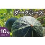 fu.... налог [2026 год производство предшествующий прием ] тыква Hokkaido 10kg.. ho k ho k данный лен блок . часть ферма темный шланг тыква юг . овощи [AE-001] Hokkaido данный лен блок 