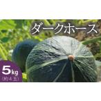 fu.... налог высота оценка *5![2026 год производство предшествующий прием ] тыква Hokkaido 5kg.. ho k ho k данный лен блок . часть ферма темный шланг тыква юг . овощи [A.. Hokkaido данный лен блок 