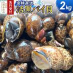 活黒バイ貝 2kg