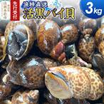 活黒バイ貝 3kg