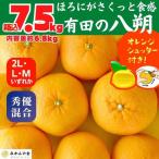 八朔 はっさく 玉ぞろい 箱込 7.5kg