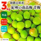 青梅 南高梅 3kg