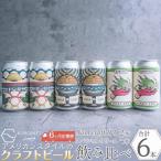 クラフトビール NOMCRAFT6本飲み比べ