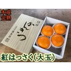 木成完熟 紅はっさく 特秀 大玉 2L