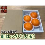 ちょっと 傷あり 木成完熟 紅はっさく 大玉 2L