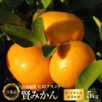 有田のブランド 賢みかん 5kg
