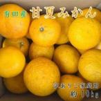 有田産訳ありご 甘夏みかん約10kg