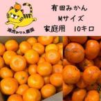 ふるさと納税 訳あり温州みかん 家庭用 10kg (Mサイズ指定) 和歌山県有田川町