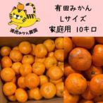 ふるさと納税 訳あり温州みかん 家庭用 10kg (Lサイズ指定) 和歌山県有田川町