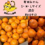ふるさと納税 訳あり温州みかん 家庭用 箱込み 10kg (SMLサイズ混合) 和歌山県有田川町