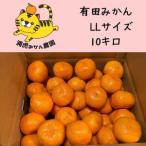 ふるさと納税 12/25までにご入金確認分は年内発送確定！きれいな温州みかん 寄贈用にお勧め LLサイズ 箱込み10kg 和歌山県有田川町
