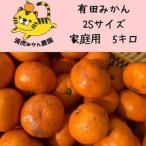 ふるさと納税 12/23までにご入金確認分は年内発送確定!訳あり温州みかん 家庭用 箱込み 5kg(SSサイズ)小さなミカンが好きな人におすすめ 和歌山県有田川町