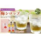 梅ジュース 梅シロップ 700g×2本入り