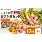 季節の旬野菜 おまかせ10種セット