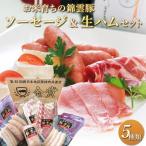 錦雲豚ソーセージ 絶品生ハム入り セット