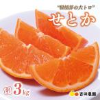 訳あり せとか 3kg