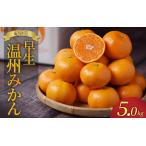みかん 2S-Lサイズ不揃い たにぐち農園の