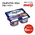 ブルガリア ヨーグルト ブルーベリー フルーツ