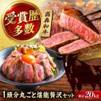 高森和牛 プレミアムセレクション 1頭分丸ごと堪能贅沢セッ…