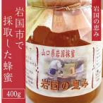 岩国の恵み はちみつ 400g