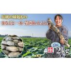 fu.... налог . прекрасный магазин специальный отбор! скала местного производства renkon ( мытье )2kg[ ООО . прекрасный магазин ] Yamaguchi префектура скала страна город 