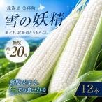 とうもろこし 雪の妖精 12本