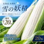 とうもろこし 雪の妖精 20本