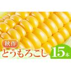 B-1008 朝採れとうもろこし 15本