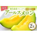 B-14 アールスメロン 秀品 2玉