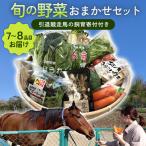 B-860 旬の野菜おまかせセット 引退競走馬の飼育寄付付き