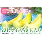 ふるさと納税 A-169 益田産アムスメロン　特大5Lサイズ（3玉入り） 島根県益田市