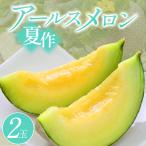 A-764 アールスメロン 2玉