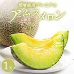 A-762 糖度厳選プレミアム アールスメロン 1玉