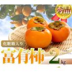 和歌山秋の味覚 富有柿 約2kg化粧箱入