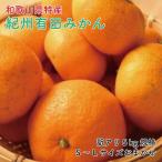 和歌山有田みかん約5kg