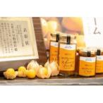 フルーツほおずきのジャムとスイーツソースセット_惣菜