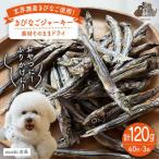 きびなご ジャーキー 40g×3袋