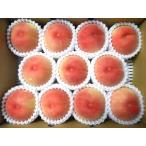 ふるさと納税 山形の旬の桃(品種おまかせ)3kg 0017-2505 山形県上山市
