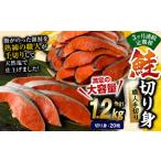鮭 切り身 20枚