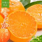 とろける食感 ジューシー柑橘 せとか 2.5kg_G7349
