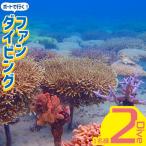 ボートで行く ファンダイビング 2Dive