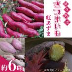 紅あずま 6kg