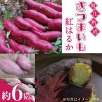 紅はるか 6kg