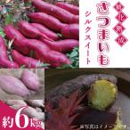 さつまいも 6kg