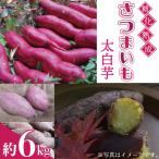 さつまいも 6kg