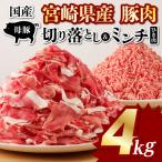 豚肉 切り落とし