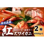 ふるさと納税 【蟹 ボイル】紅ズワイガニ/蟹【採れたて!釜茹で!ずわいがに】紅ズワイガニ 2杯 日本海の鮮度抜群の ボイルカニ・カニボイル.. 京都府京丹後市