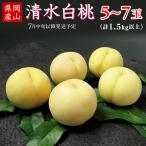 清水白桃5~7玉 計1.5kg以上