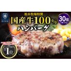 柏木牧場特製 牛100%ハンバーグ 120g×30個